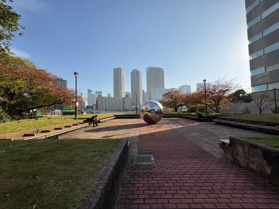 公園から見た街並み