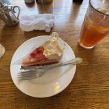 ランチでケーキセットショーケースに美味しそうなケーキが置いてあって無性に食べたくなったので。